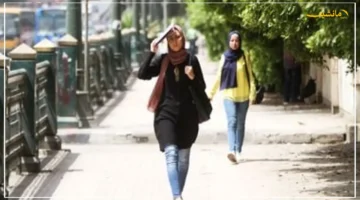 10 أيام فقط تفصلنا.. موعد انتهاء الصيف رسميًا وبداية فصل الخريف 22 سبتمبر يستمر 89 يومًا 1